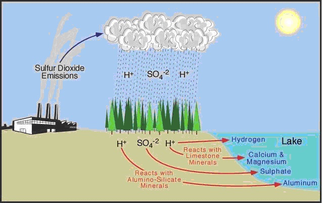 ilmu alamiah dasar: PENCEMARAN LINGKUNGAN ( Hujan Asam) ph diagram for nitrogen 