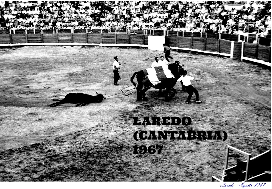 LAREDO TOROS