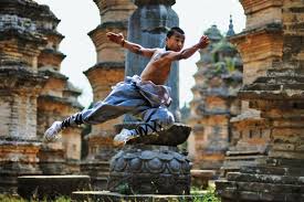 Xem phim Thiếu Lâm Nam Phái Xem phim Thiếu Lâm Nam Phái