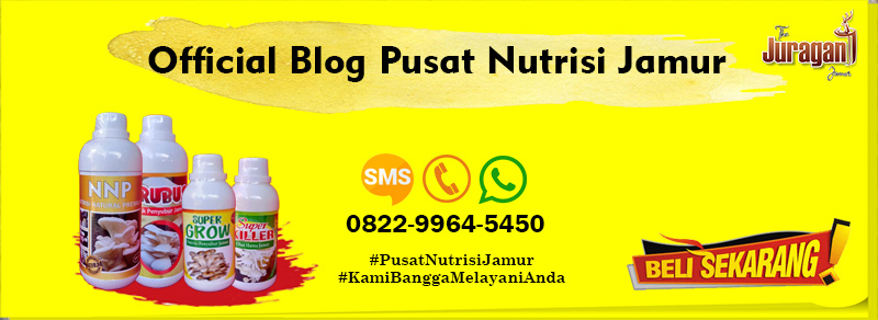 Official Blog Pusat Nutrisi Jamur Telp/SMS/WA: 0822-9964-5450 (Tsel)