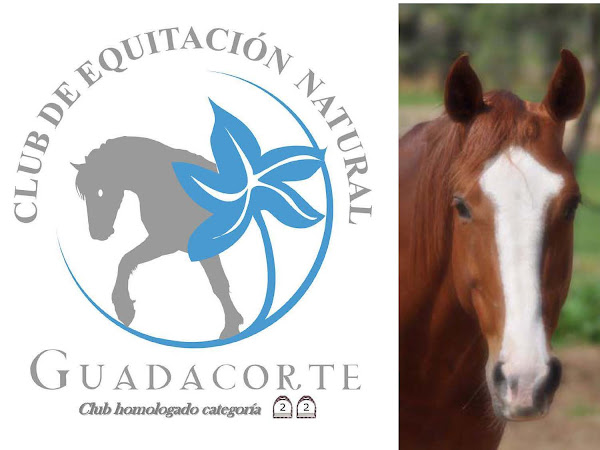 EQUITACION NATURAL GUADACORTE // HORSEBACK RIDING NEAR GIBRALTAR