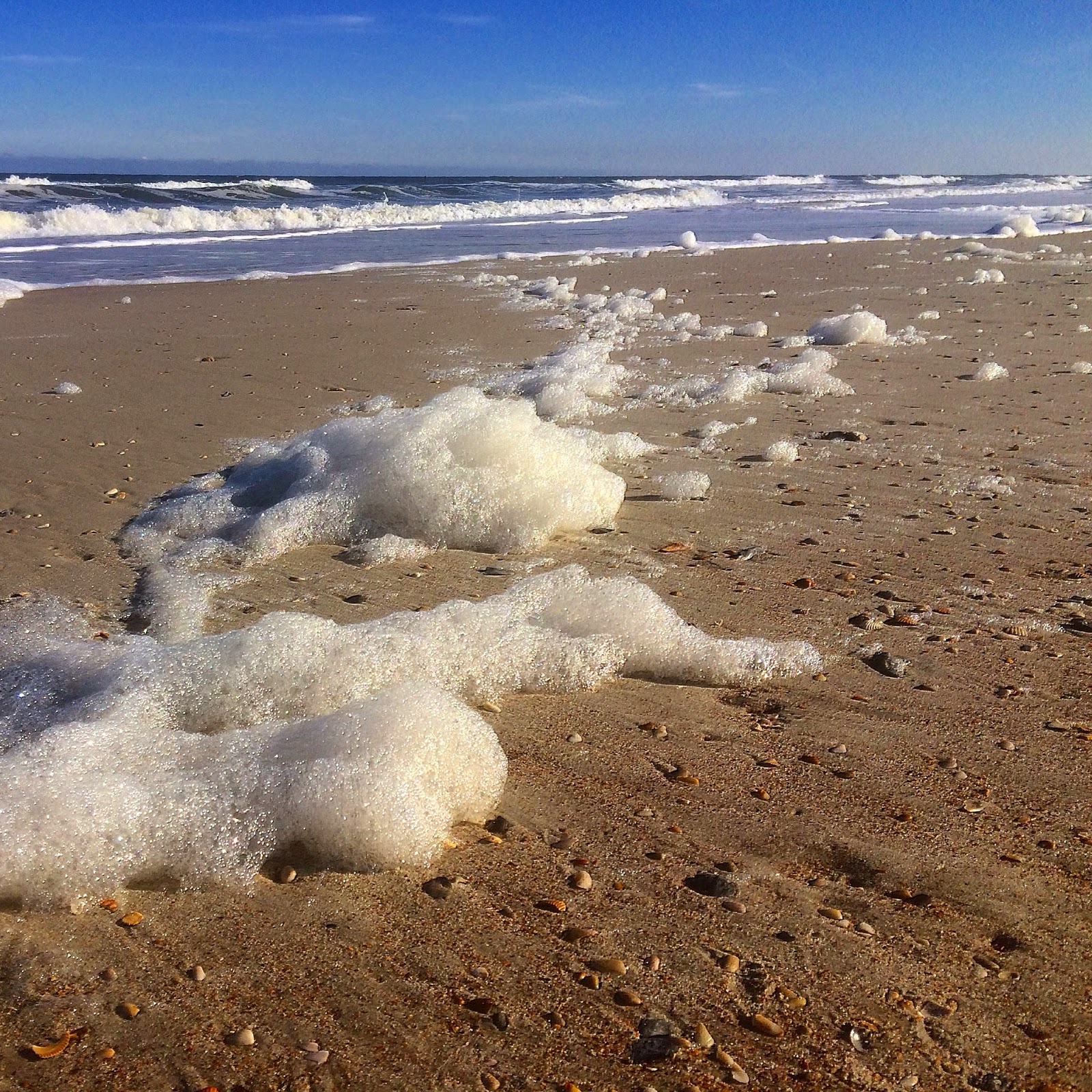 The Nomadic Wanderings of Two Humans and One Dog More Than A Beach