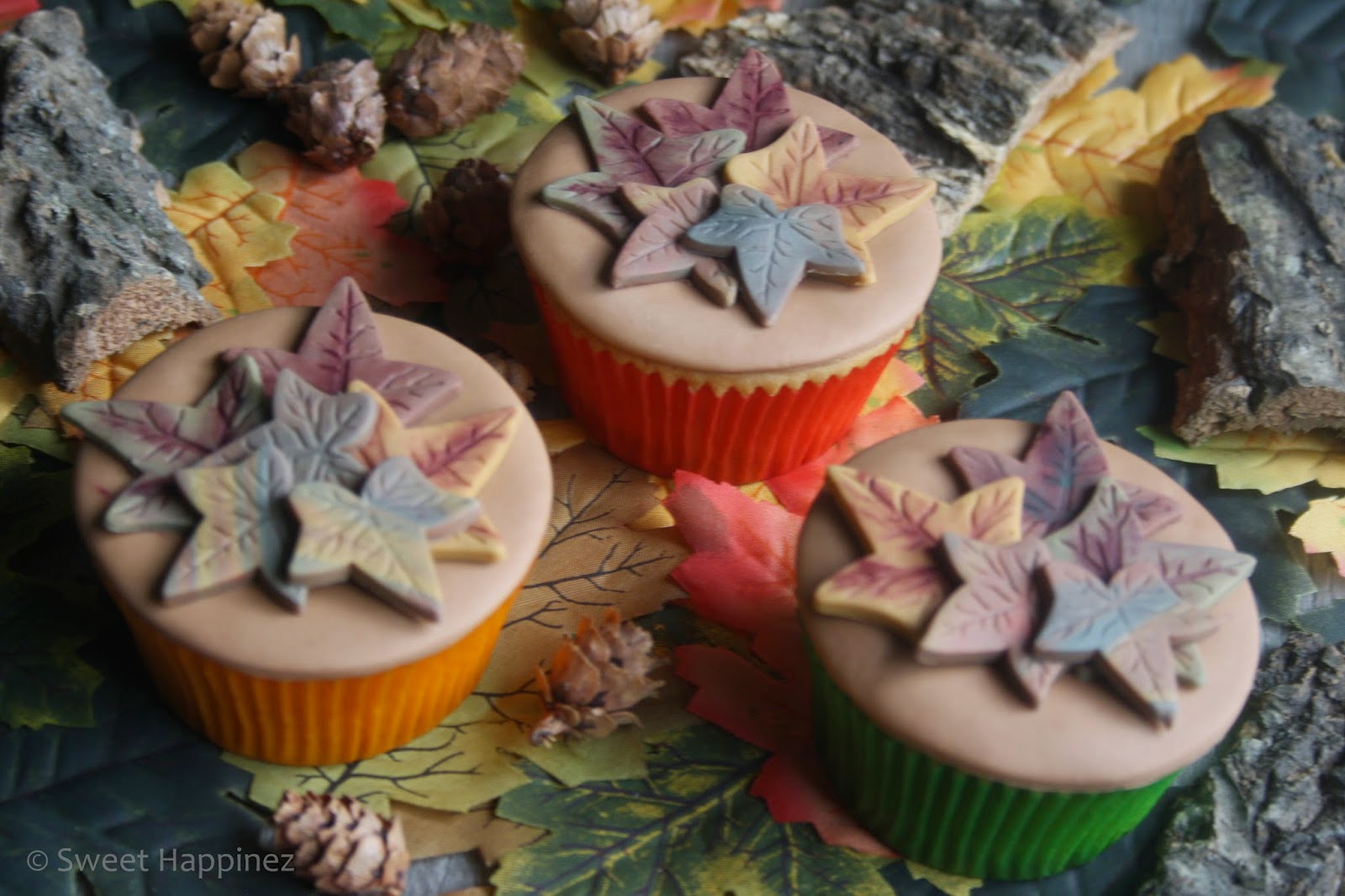 http://3.bp.blogspot.com/-mDgCa1vBXYM/VDvVT-qYRMI/AAAAAAAAD1U/ityLZHrTCME/s1600/Herfstbladeren%2BCupcakes%2B5.JPG
