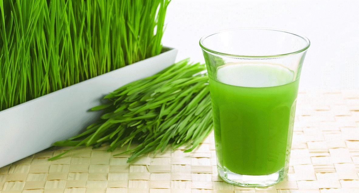 35 Healthy Reasons to Drink Wheatgrass Juice Everyday. Health Benefits