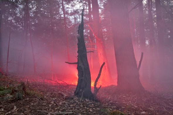 Amelia Bauer fotografia natureza paisagens noturnas misteriosas luzes sobrenaturais Amelia Bauer fotografia natureza paisagens noturnas misteriosas luzes sobrenaturais