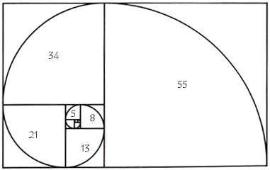 Ο αγαπημένος αριθμός του Σύμπαντος. Fibonacci+spiral