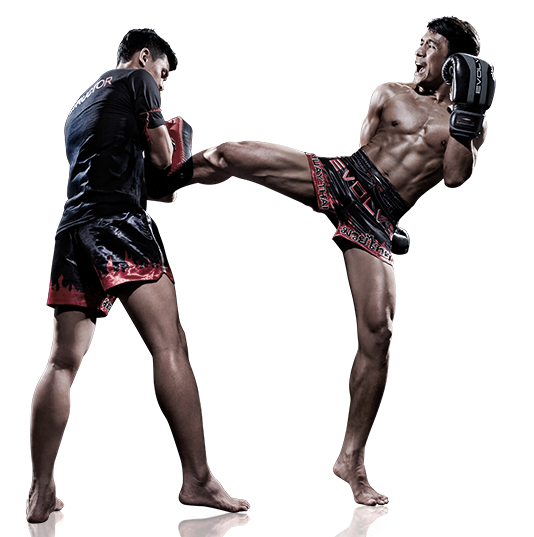 Revista Tao Do: La Historia del Kick Boxing