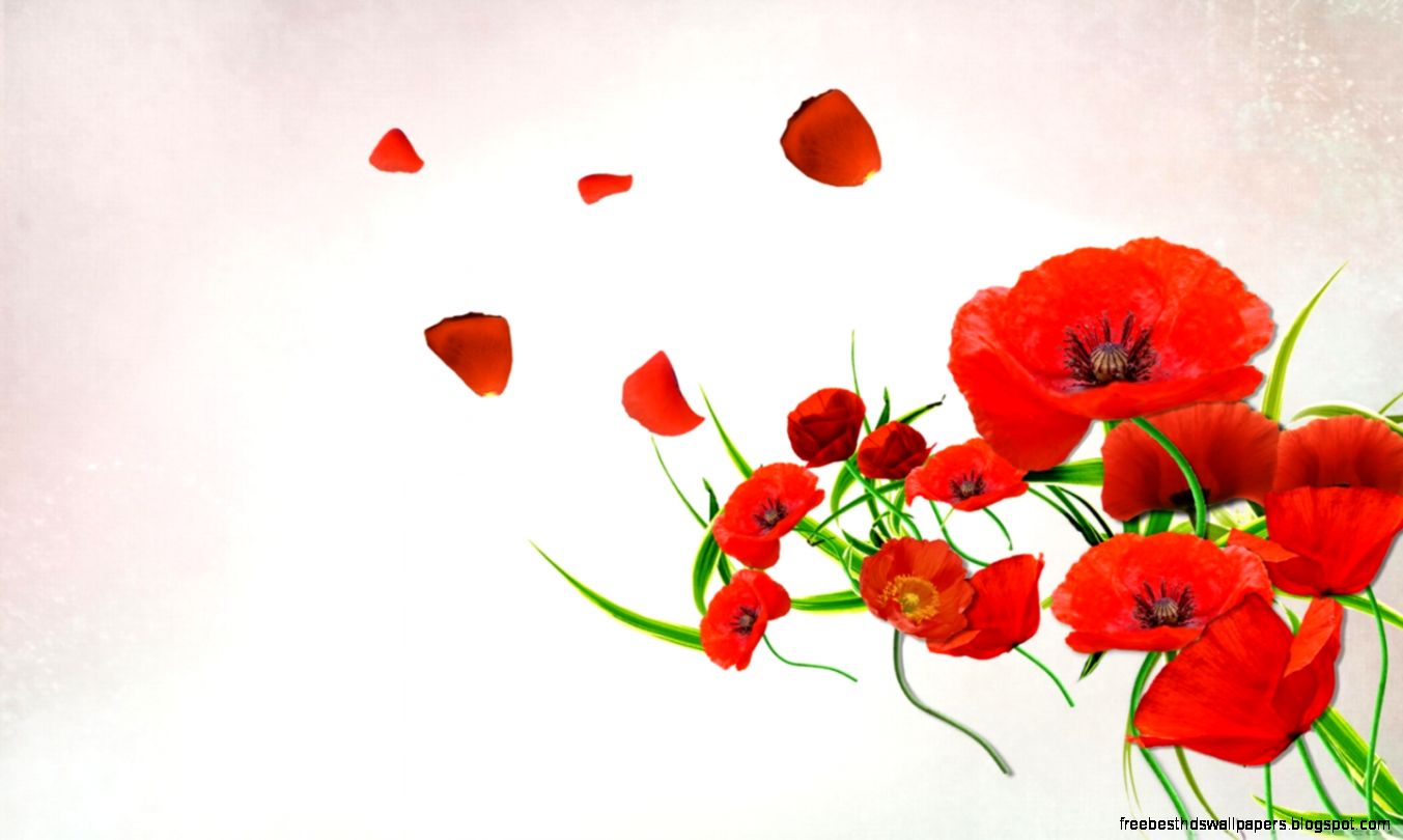 Poppy Wallpapers WallpaperSafari Poppy Wallpapers WallpaperSafari