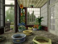 WitchLot-greenhouse1.jpg