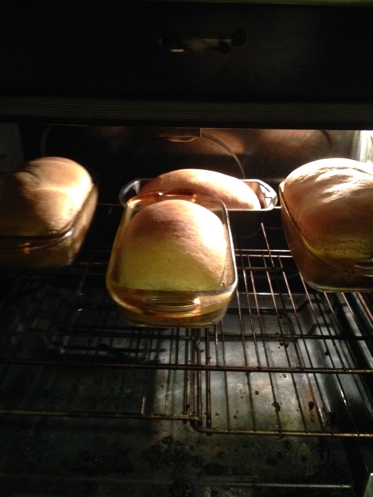 Lion Test Kitchen Mastering the Whole Wheat Bread lion headress