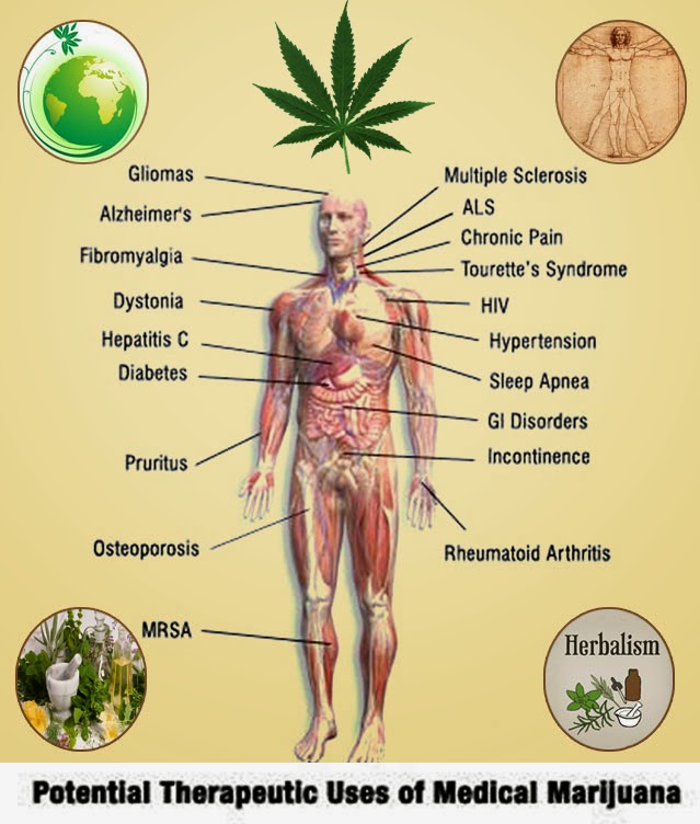 10 Manfaat GANJA untuk kesehatan