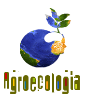 AGROECOLOGIA LAGOA SECA TURMA 2013.1