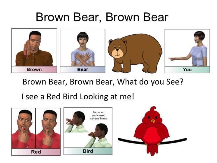 HearMyHands ASL BROWN BEAR story part 1