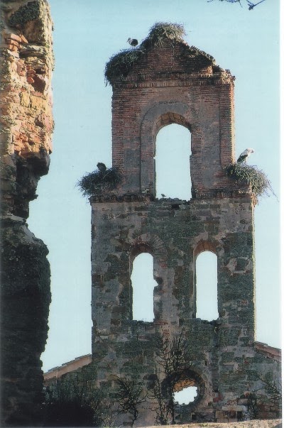 01.-Cig%C3%BCe%C3%B1as+en+Moreruela+1.jp