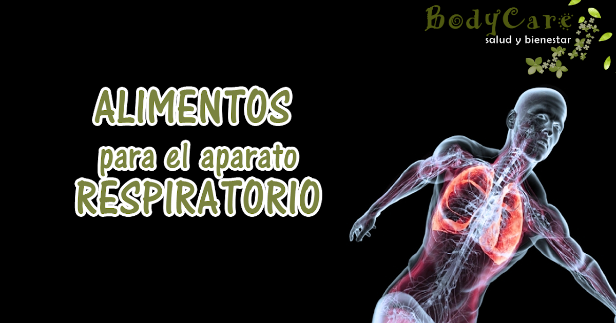 Alimentos para el aparato respiratorio Salud y bienestar