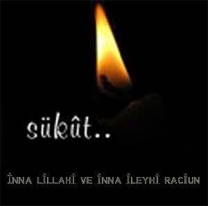 mevlevi mehmet fikri metli dede sukut ehli