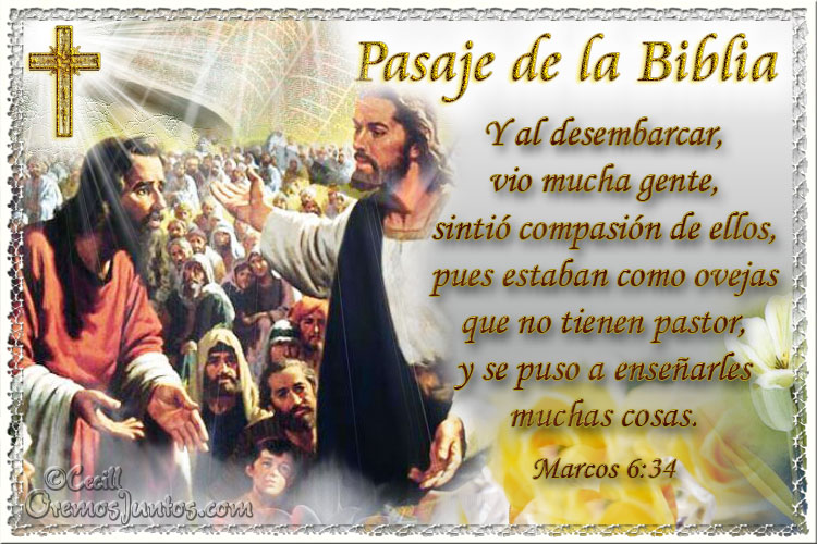 Resultado de imagen de Compasión - Marcos 6 - 34