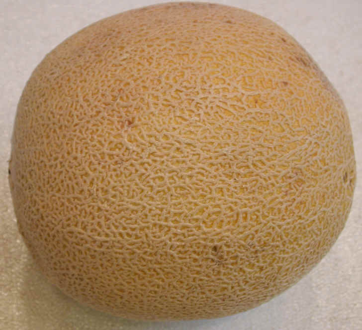 Cantaloupe Fruits And Vegetables