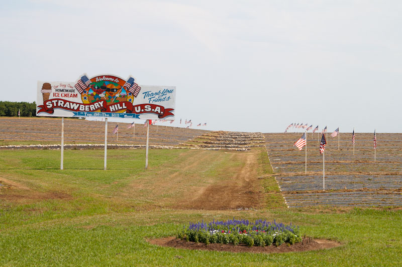 Life Through A Lens .strawberry hill farm. south carolina.