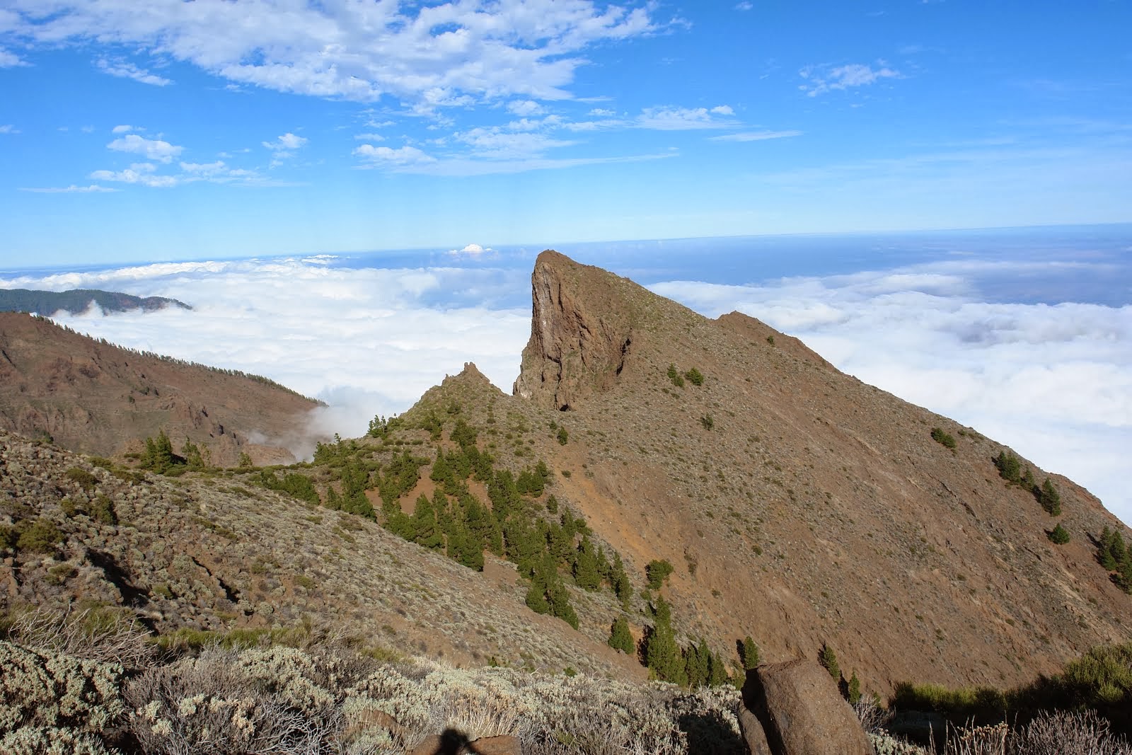 PICO DEL VALLE