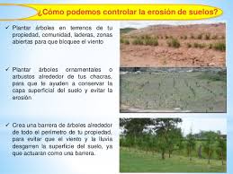 ¿como mitigar los efectos de la erosión? 2
