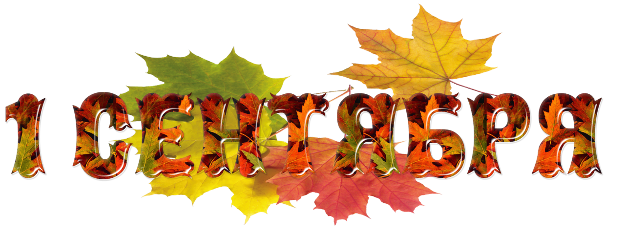 http://3.bp.blogspot.com/-mIQP_AktKPo/Vd4RVwWXLuI/AAAAAAAALzk/wkOBNWJdO0w/s1600/9698205.png