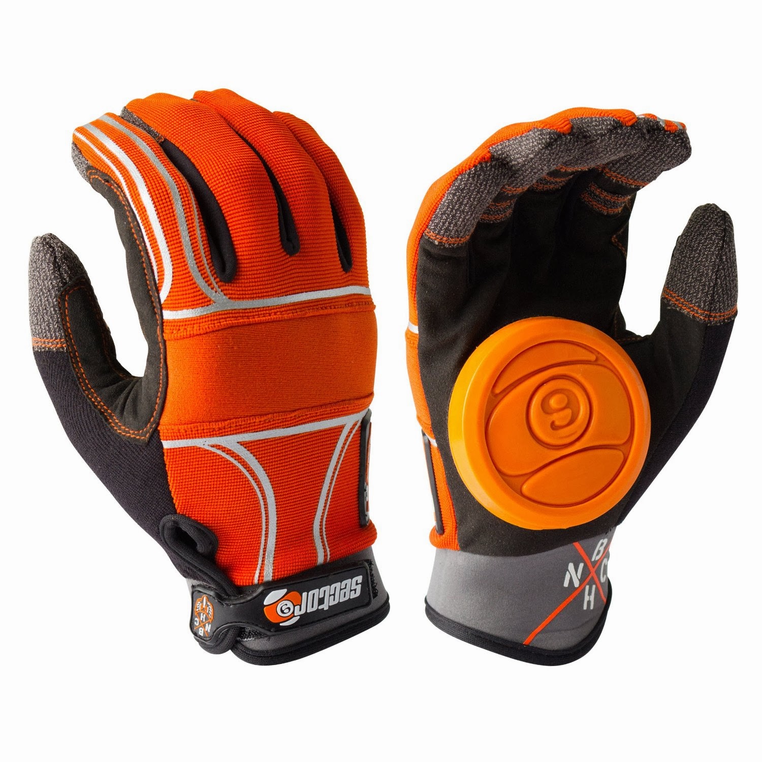 The Board Guide The Ultimate Beginner's Guide to Longboarding