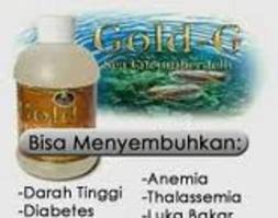 Agen Jelly Gamat Gold G Medan