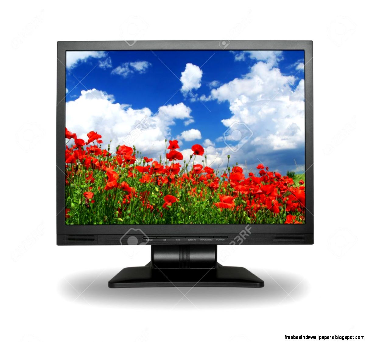 LCD Screen With Gorgeous Summer Landscape Photo Inside Is My LCD Screen With Gorgeous Summer Landscape Photo Inside Is My
