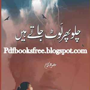 Chalo Phir Laut Jate Hain By Syed Aqeel Shah