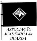 A BANDEIRA da NOSSA ACADEMIA