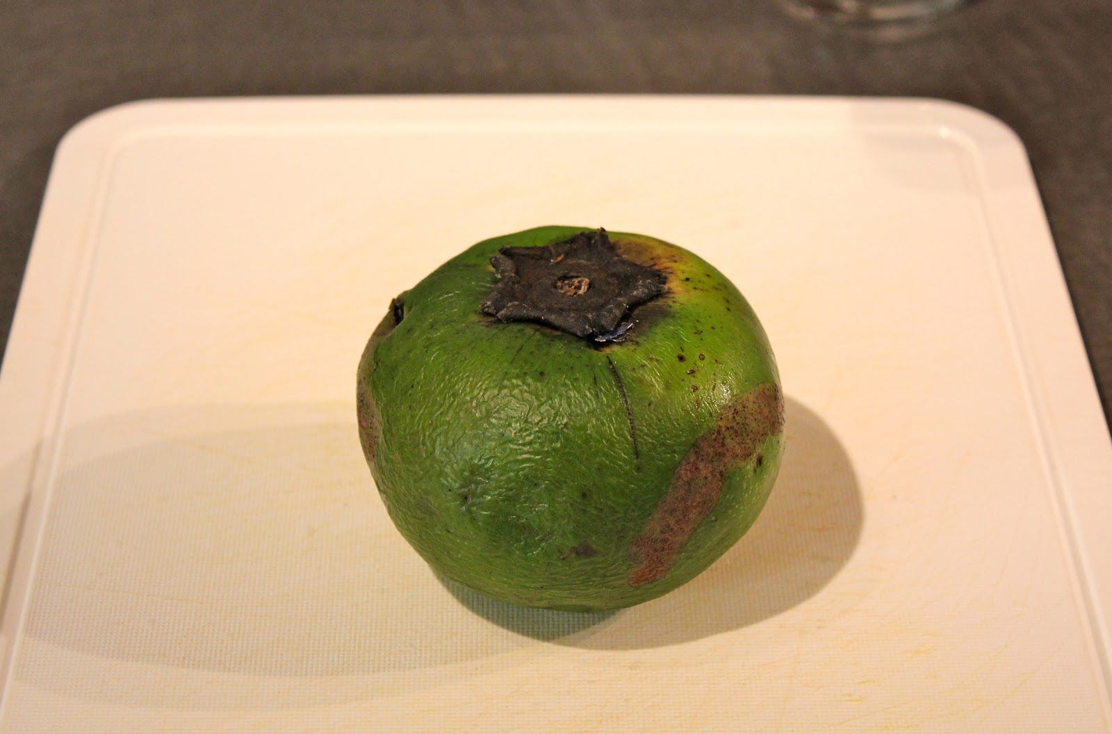 Foodie Black Sapote (Chocolate Pudding Fruit)