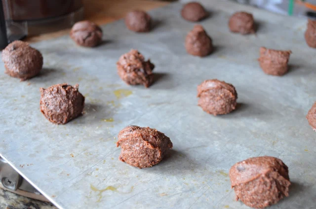 Gluten-Free-Egg-Free-Double-Chocolate-Peanut-Butter-Bite-Cookies-Scoop-Dough.jpg