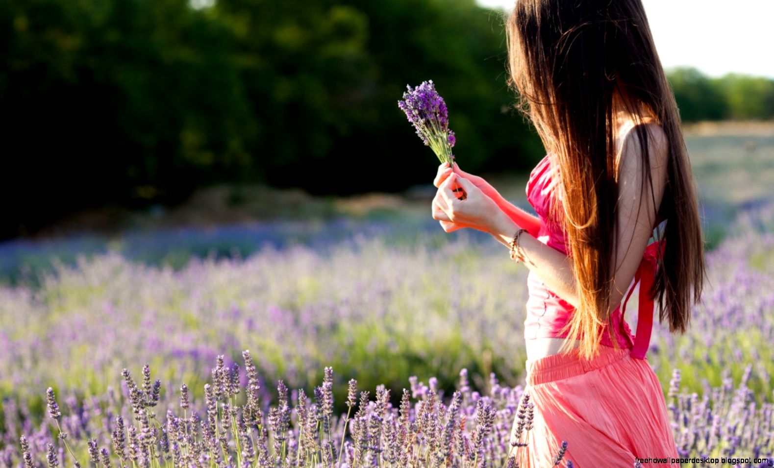Girl In Light Blue Flower Valley HD Desktop Backgrounds Girl In Light Blue Flower Valley HD Desktop Backgrounds
