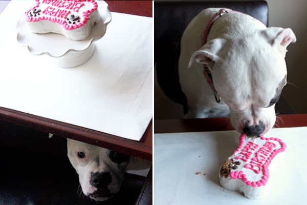 Dog birthday cookie cake
