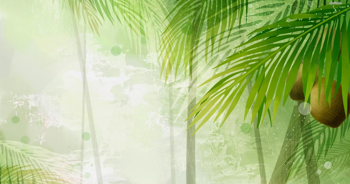 Kelapa Muda Sempoi: khasiat kelapa