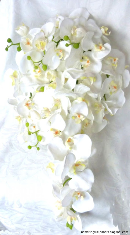 Cascading White Orchid Bouquet Boutonniere phalaenopsis Cascading White Orchid Bouquet Boutonniere phalaenopsis