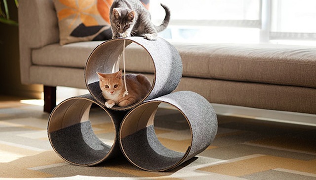 http://www.lowes.com/creative-ideas/other-activities/kitty-corner-cat-play-house/project