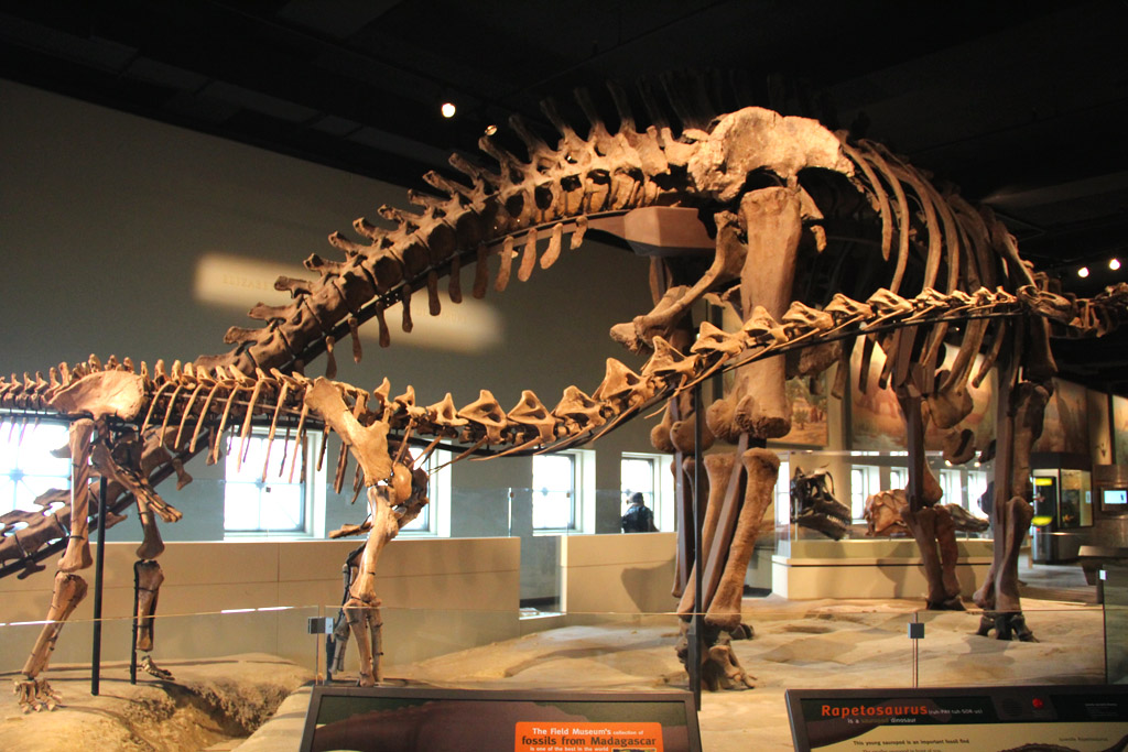 Field Museum Hall of Dinosaurs