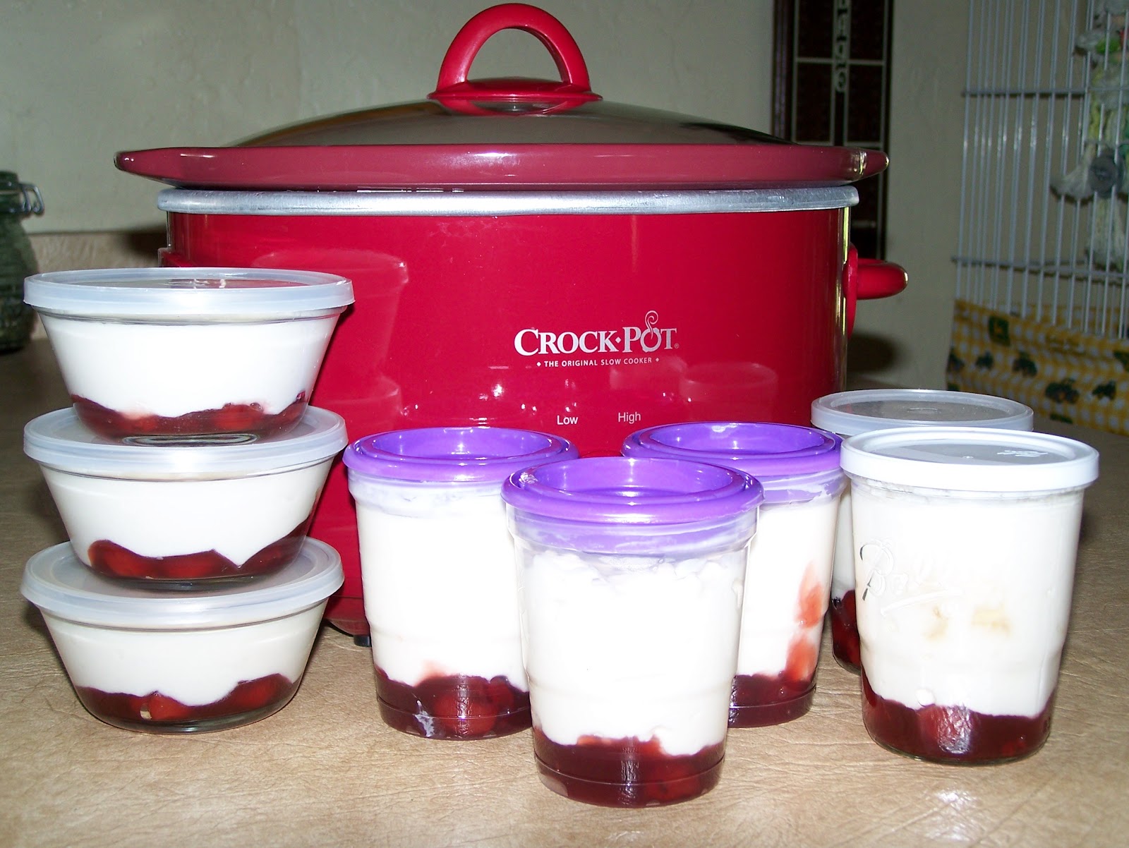 Over at Julie's Easy Crock Pot Greek Yogurt