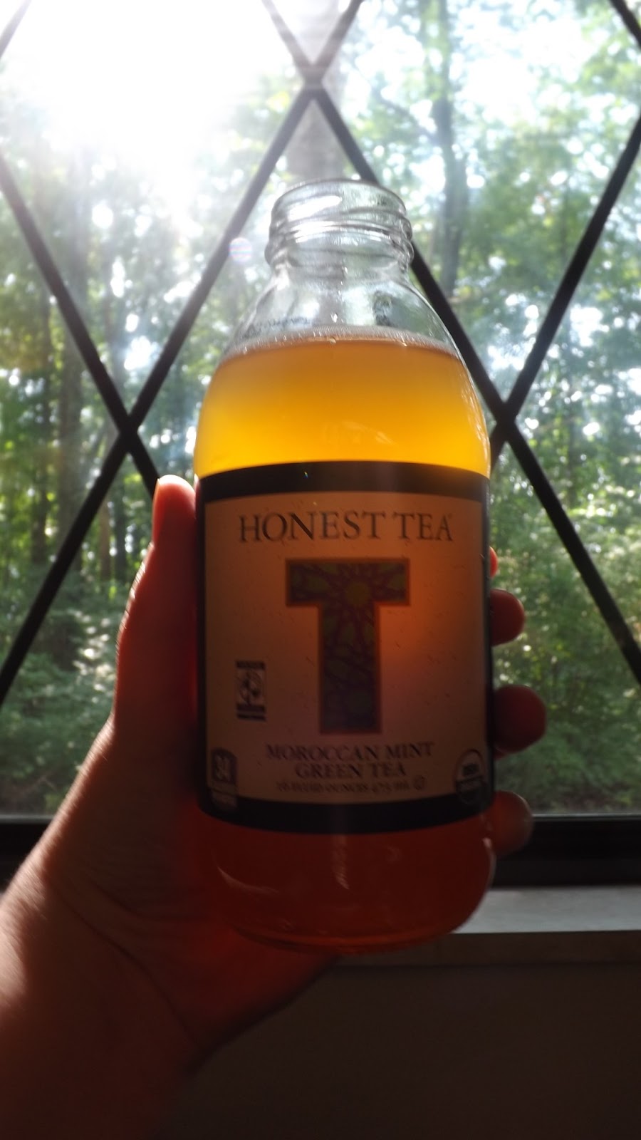 Life According To Greenvics Bottled Tea That Is Still Tea Honest Tea,Sealife Systems Wet Dry Filter