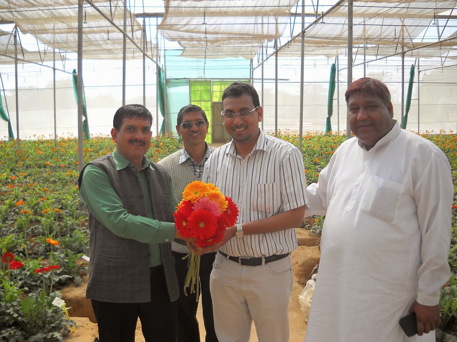 ACI AGRO SOLUTION GREEN HOUSE