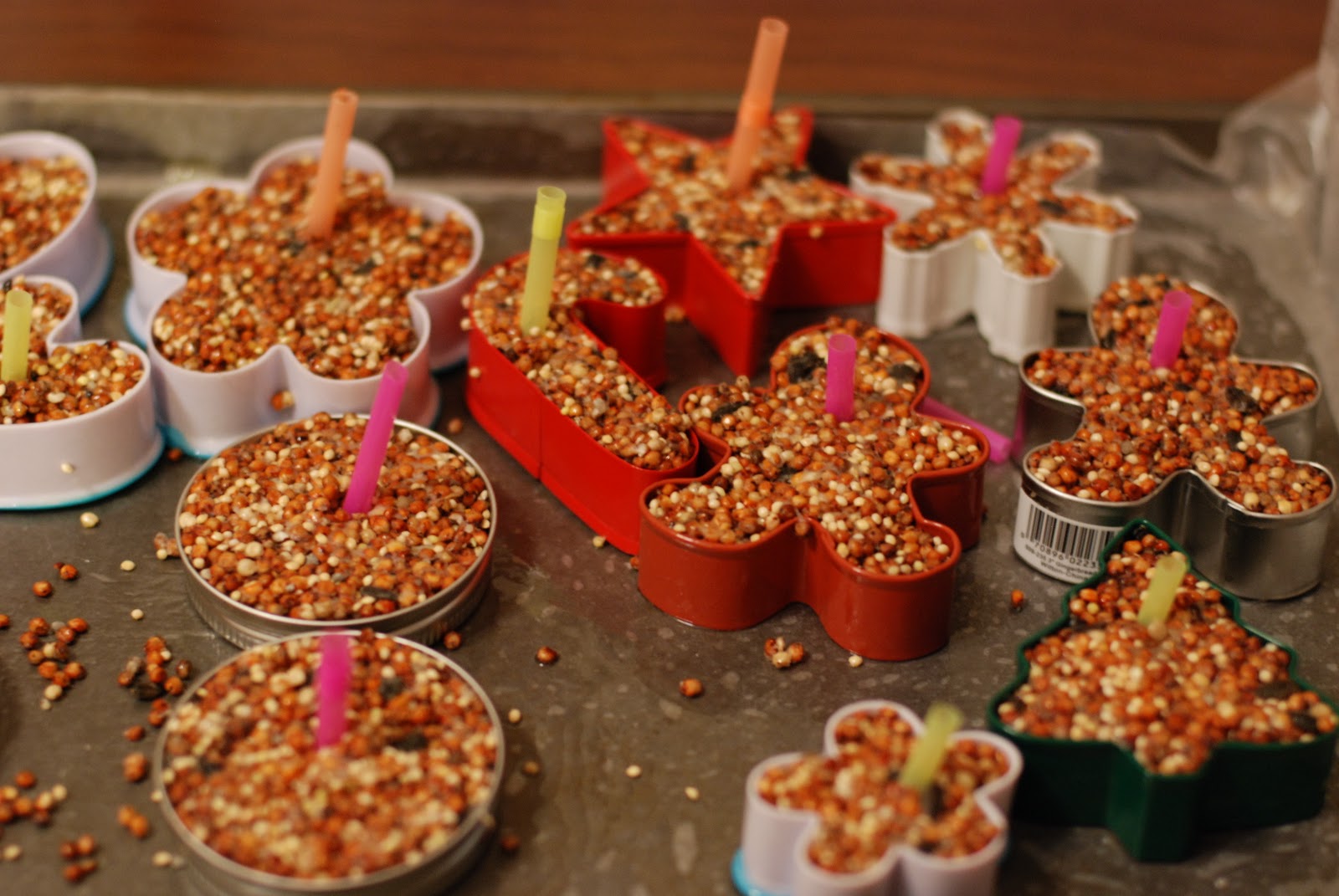 Treats and treasures Bird Seed Ornaments for outdoors