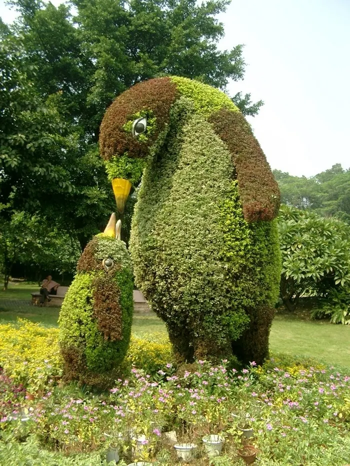 Scultura vegetale | L'arte Topiaria