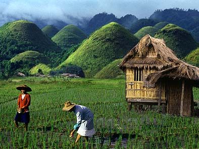Bohol%7Echocolate%7Ehills.jpg