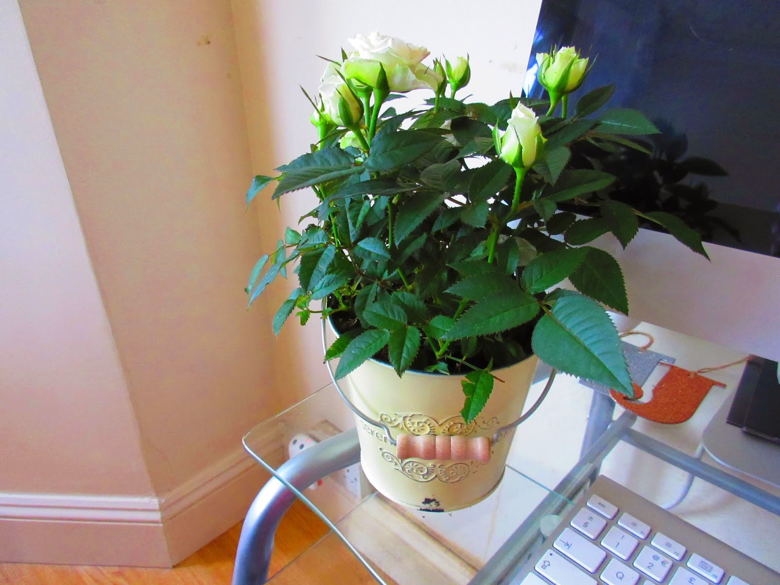 LIFESTYLE Serenata Flower Delivery and Giveaway Lilla Loves