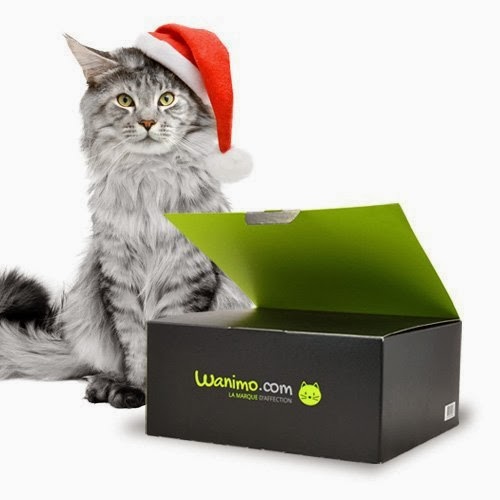 Cadeaux de Noël pour chat - Wanimo