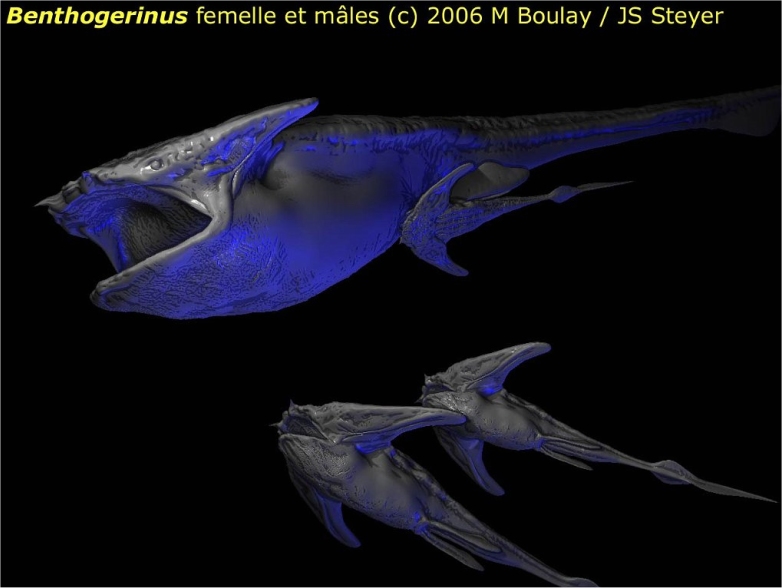 Furahan Biology and Allied Matters A future book on future evolution