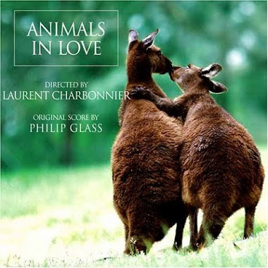 Animals in Love-HD