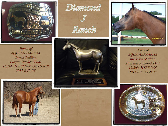 Diamond J Ranch